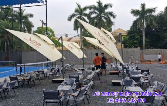 dù che sự kiện bến cát