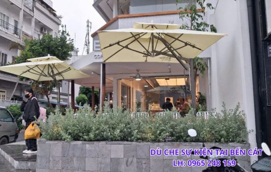 dù che sự kiện bến cát