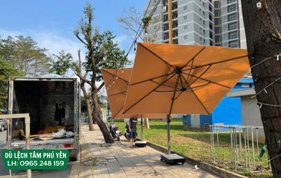 dù lệch tâm tại phú yên