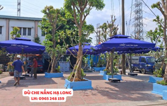 ô dù che nắng hạ long