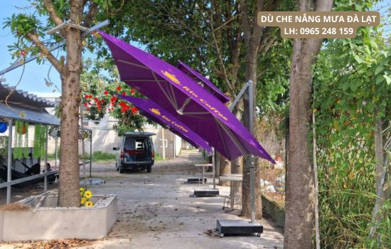 dù che nắng mưa đà lạt